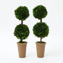 Mrs. Alice Double Potted Boxwood Balls (Pair)< Year-round Decorations | Spring Decorations