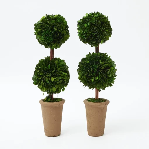 Mrs. Alice Double Potted Boxwood Balls (Pair)< Year-round Decorations | Spring Decorations