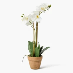 Mrs. Alice Double Stem Potted Faux Orchid< Year-round Decorations | Forever Blooms