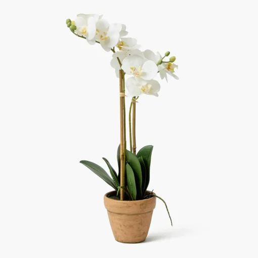 Mrs. Alice Double Stem Potted Faux Orchid< Year-round Decorations | Forever Blooms