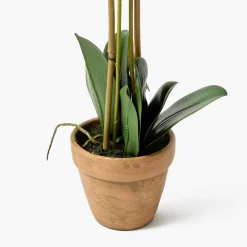 Mrs. Alice Double Stem Potted Faux Orchid< Year-round Decorations | Forever Blooms
