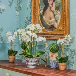 Mrs. Alice Double Stem Potted Faux Orchid< Year-round Decorations | Forever Blooms