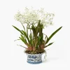 Mrs. Alice Faux Dancing Lady Orchid in Chinoiserie Planter< Year-round Decorations | Forever Blooms
