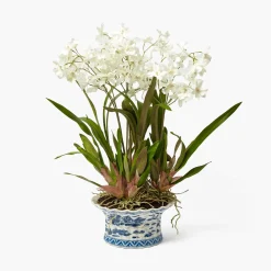 Mrs. Alice Faux Dancing Lady Orchid in Chinoiserie Planter< Year-round Decorations | Forever Blooms