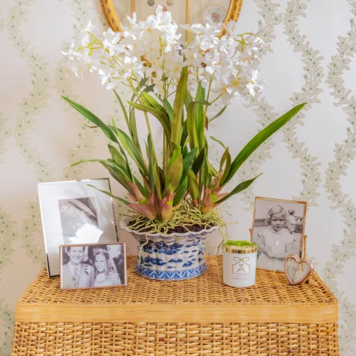 Mrs. Alice Faux Dancing Lady Orchid in Chinoiserie Planter< Year-round Decorations | Forever Blooms