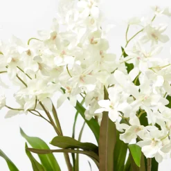Mrs. Alice Faux Dancing Lady Orchid in Chinoiserie Planter< Year-round Decorations | Forever Blooms