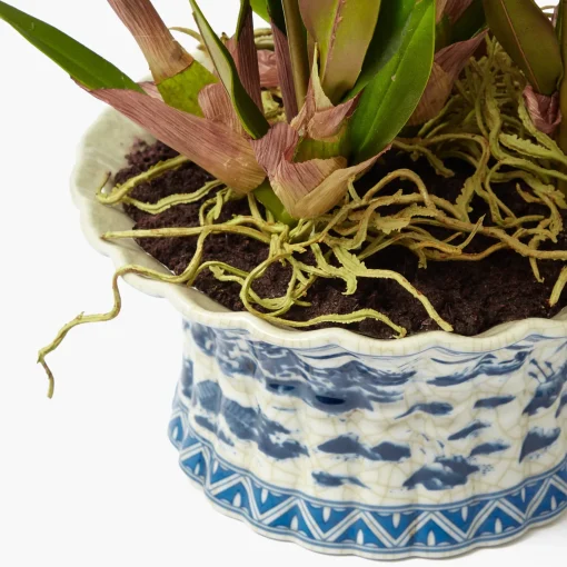 Mrs. Alice Faux Dancing Lady Orchid in Chinoiserie Planter< Year-round Decorations | Forever Blooms