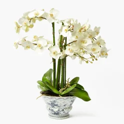 Mrs. Alice Faux Orchid in Chinoiserie Planter< Year-round Decorations | Forever Blooms