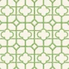 Mrs. Alice Green Shaded Bamboo Wallpaper< Serena Fresson Wallpapers