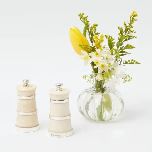 Mrs. Alice Ivorine Salt & Pepper Set< Summer Crockery | Crockery Sets