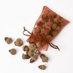 Mrs. Alice Decorative Acorns< Autumn Decorations