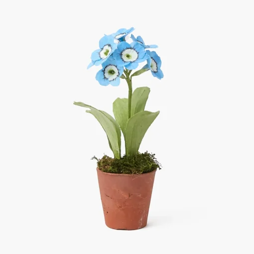 Mrs. Alice Handpainted Blue Auricula< Year-round Decorations | Forever Blooms