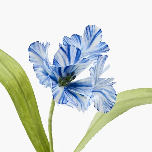 Mrs. Alice Handpainted Blue Tulip< Year-round Decorations | Forever Blooms