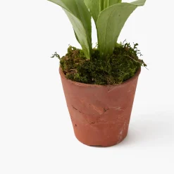 Mrs. Alice Handpainted Blue Auricula< Year-round Decorations | Forever Blooms