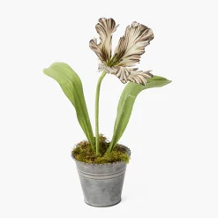 Mrs. Alice Handpainted Chocolate Tulip< Year-round Decorations | Forever Blooms