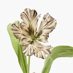 Mrs. Alice Handpainted Chocolate Tulip< Year-round Decorations | Forever Blooms