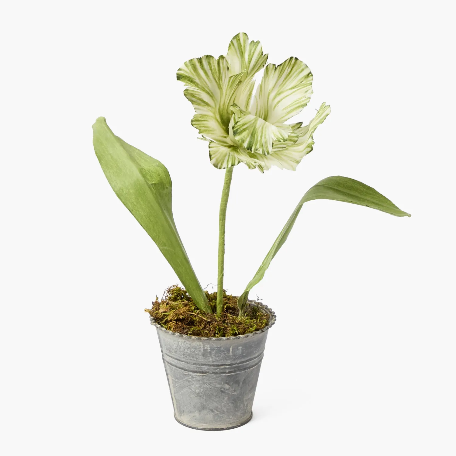 Mrs. Alice Handpainted Green Tulip< Year-round Decorations | Forever Blooms