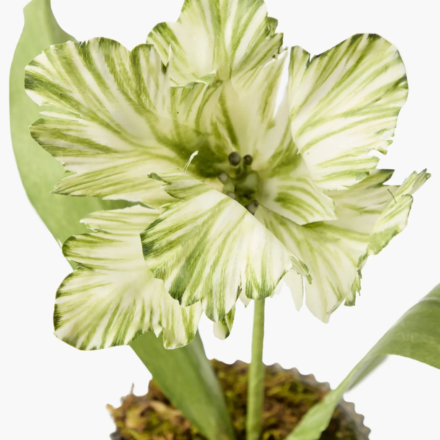 Mrs. Alice Handpainted Green Tulip< Year-round Decorations | Forever Blooms