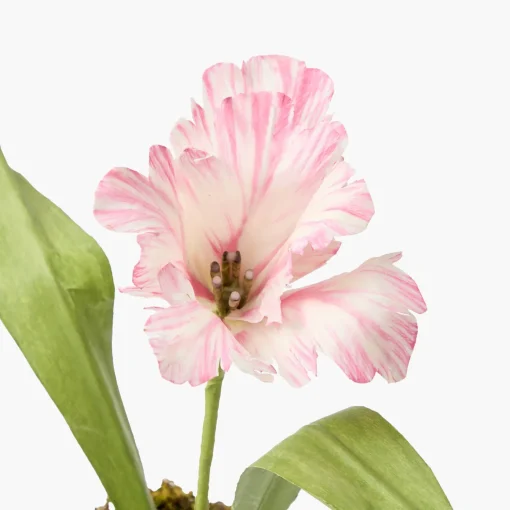 Mrs. Alice Handpainted Pink Tulip< Year-round Decorations | Forever Blooms