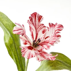 Mrs. Alice Handpainted Red Tulip< Year-round Decorations | Forever Blooms