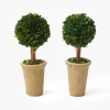 Mrs. Alice Potted Boxwood Ball (Pair)< Year-round Decorations | Spring Decorations