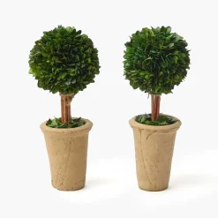 Mrs. Alice Potted Boxwood Ball (Pair)< Year-round Decorations | Spring Decorations