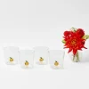 Mrs. Alice Pumpkin Glasses (Set of 4)< Glasses