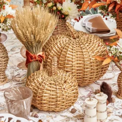 Mrs. Alice Rattan Pumpkin Family< Autumn Decorations