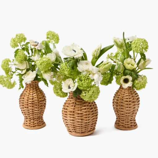 Mrs. Alice Rattan Vase (Set of 3)< Vases | Vases & Planters