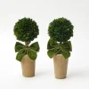 Mrs. Alice Ribboned Potted Boxwood Ball (Pair)< Year-round Decorations | Christmas Decorations