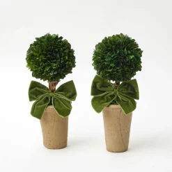 Mrs. Alice Ribboned Potted Boxwood Ball (Pair)< Year-round Decorations | Christmas Decorations