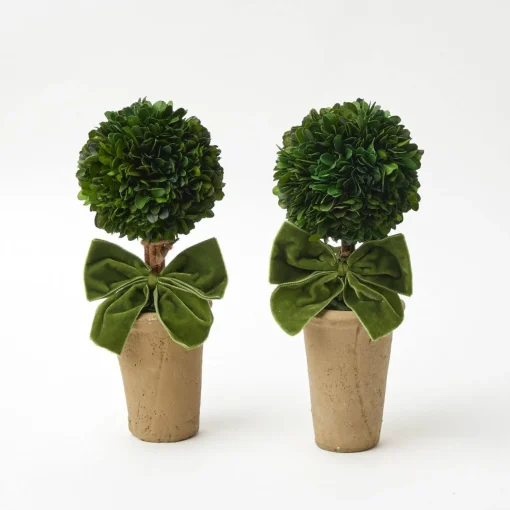 Mrs. Alice Ribboned Potted Boxwood Ball (Pair)< Year-round Decorations | Christmas Decorations