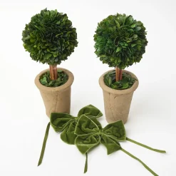 Mrs. Alice Ribboned Potted Boxwood Ball (Pair)< Year-round Decorations | Christmas Decorations
