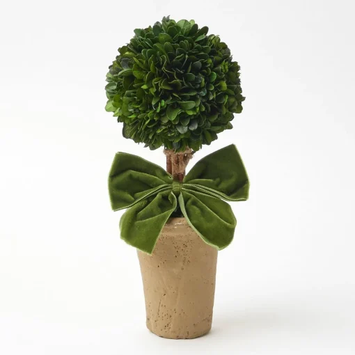 Mrs. Alice Ribboned Potted Boxwood Ball (Pair)< Year-round Decorations | Christmas Decorations