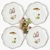 Mrs. Alice Scalloped Mushroom Starter Plates (Set of 4)< Starter Plates | Crockery Sets
