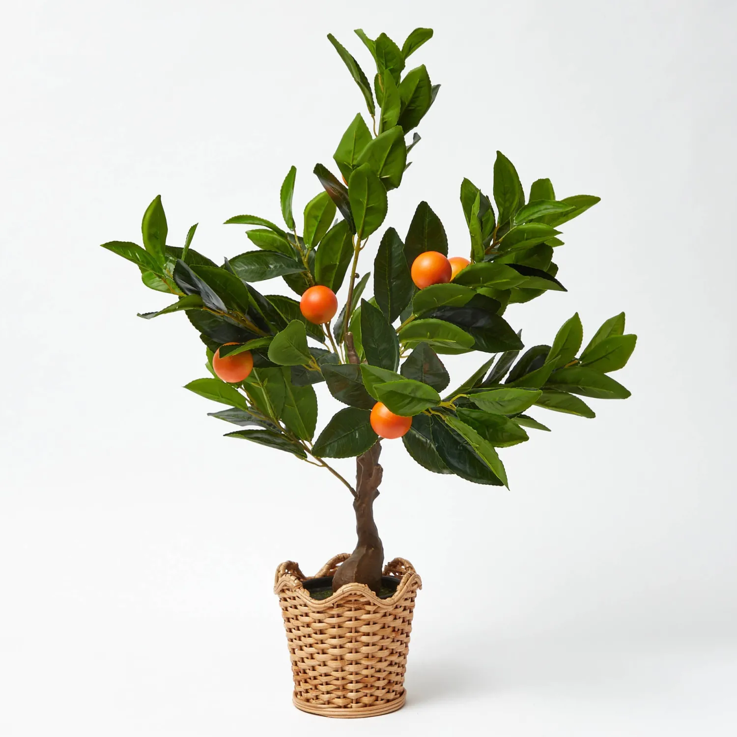 Mrs. Alice Scalloped Rattan Planter< Vases | Vases & Planters