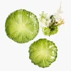 Mrs. Alice Serena Green Cabbage Starter Plate< Starter Plates