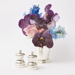 Mrs. Alice Sterling Silver Salt & Pepper Set (Pair)< Crockery Sets | For The Hostess